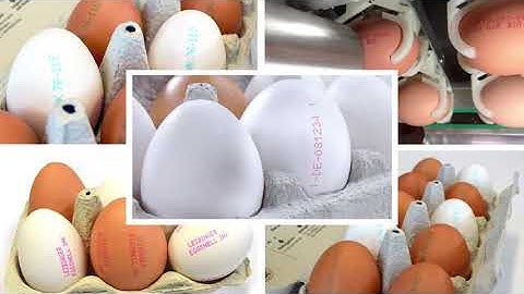 Leibinger Coding and Marking    Corporate Video