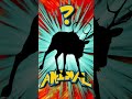 Who&#39;s That ANIMAL?! (ep. 58) #shorts #animals #quiz | Animal Fact Files