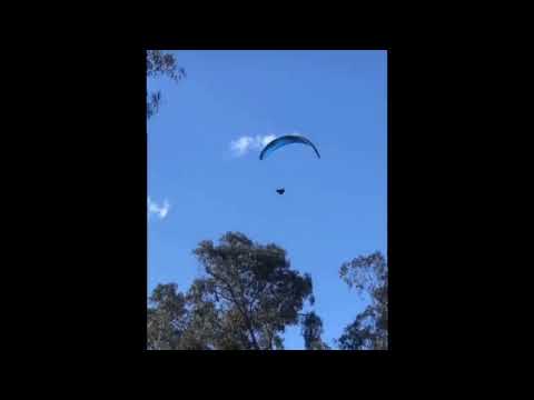 Swoopy Bois - Magpie Attack Compilation