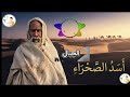 عمر المختار الأسد الذي هزم الموت ولم ينحن للمشنقة 