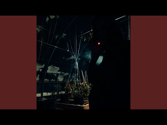 ТРИГАН-Д