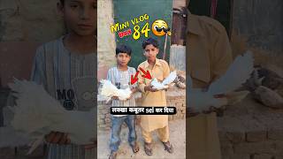 Lakkha kabutar sel Kar Diya 🤔 Mini vlog Day 84😲🔥||#shorts #pigeon #shortfeed #minivlog #vlog