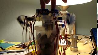 Cheap Hexapod Leg Test