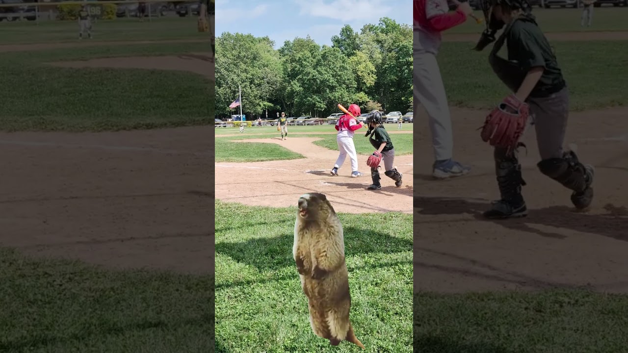 Pitcher scared by beaver... yikes!