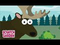 The Great Big Moose Quiz