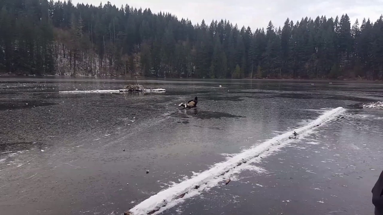 Idiot on battleground lake