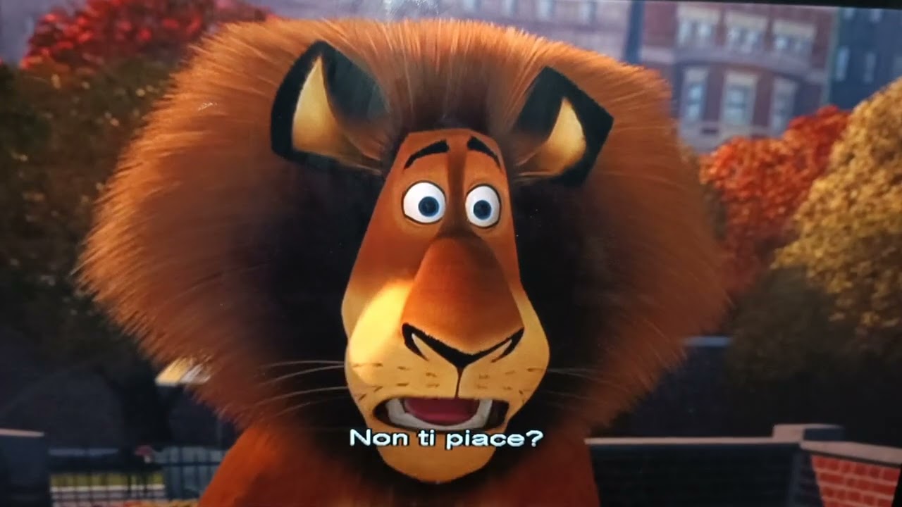 2 Aperture Dvd Madagascar (2005) - Mr Peabody e Sherman (2014)