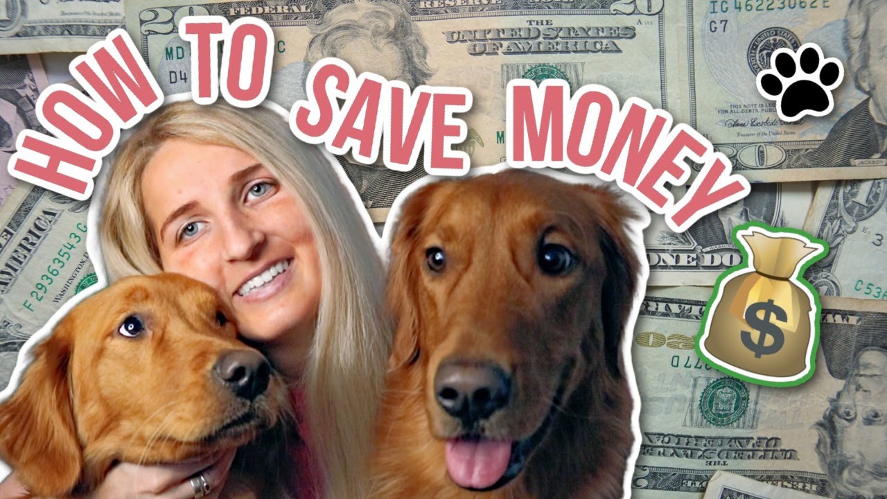 10 Tips For Saving Money As A Dog Mom