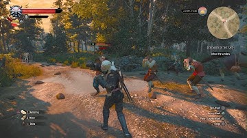 Ps5 The Witcher 3: Wild Hunt - Complete Edition fist fight