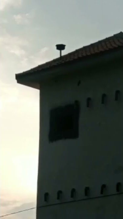 🔴 SP TRIPLE QUEEN vs Tarik Senja Revisi|| bergetar, Butuh Proses dan Kesabaran ‼️