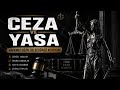 Ceza ve İnfaz Düzenlemesi #kahramanilker #fyp #fy #yasa #çeksenet #ehliyet #genelaf #afhaber #af