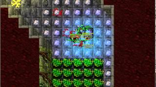 Test Server Tibia 2014 - Explorando -4 Banuta