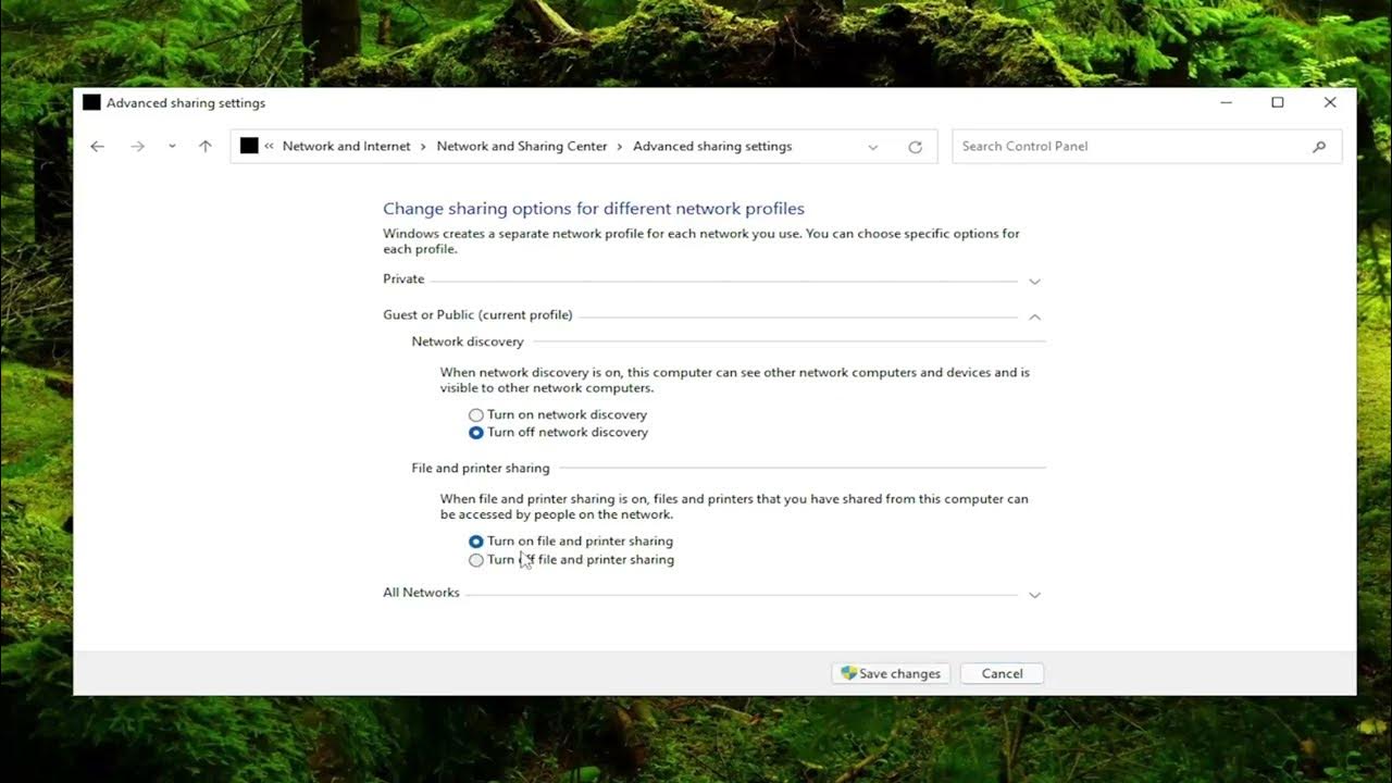 Epson Connect Printer Setup Cannot Find Printer In Windows 11/10