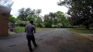 T-Rex 450 Plus DFC Maiden