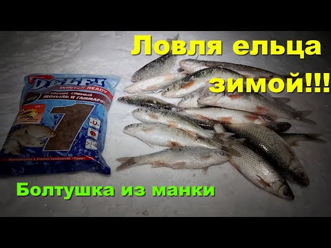 Ловля ельца зимой. Болтушка из манки