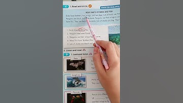 Học tiếng anh lớp 4  Unit 1  Science  C  -  Smart Start 4