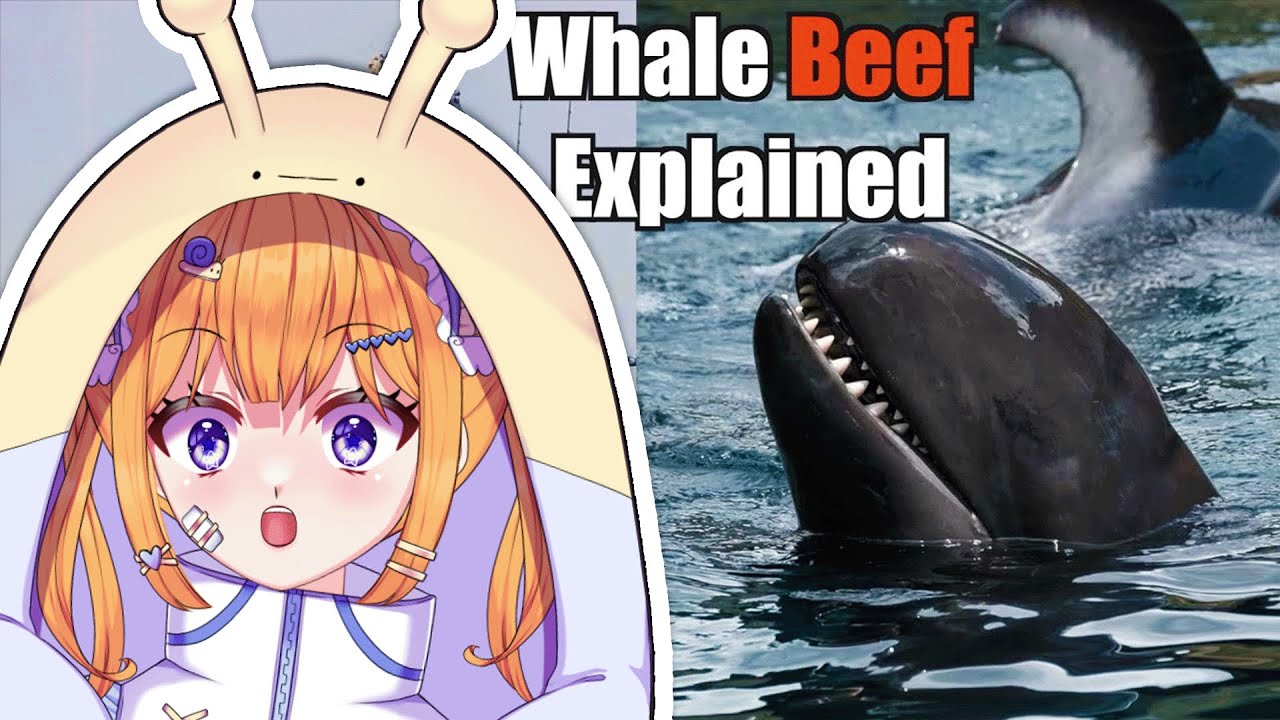 The GANG WARS of WHALES! | Snail Vtuber reacts to Casual Geographic