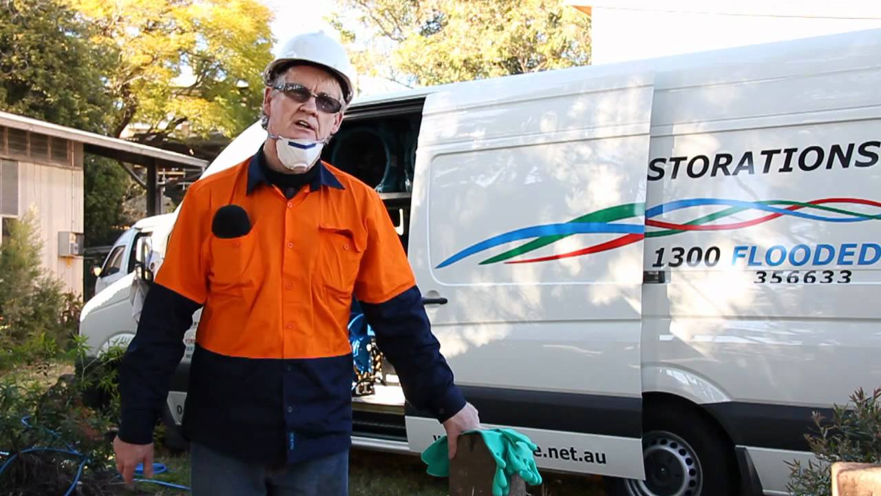 Commercial Mould Removal in Brisbane