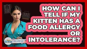 How Can I Tell If My Kitten Has A Food Allergy Or Intolerance? - Ask A Pet Vet