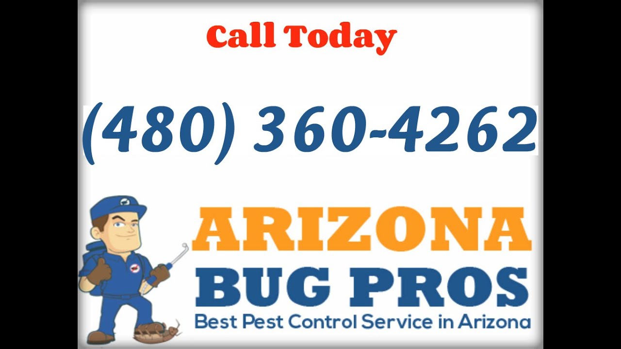 Cockroach Exterminators San Tan Valley, AZ (480)360-4262