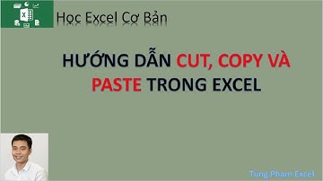 Học Excel Cơ Bản | Hướng dẫn các thao tác copy cut và paste trong excel rất chi tiết