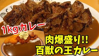 ヤバいカレー屋を見つけたので行ってみた！『肉大量カレー＆１Kgカレー』【ライオンカレー】