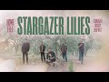 Home Free - Stargazer Lilies