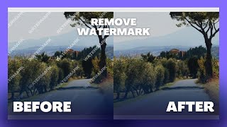How To Remove Watermark From An Image In Just A Click Tricky4You