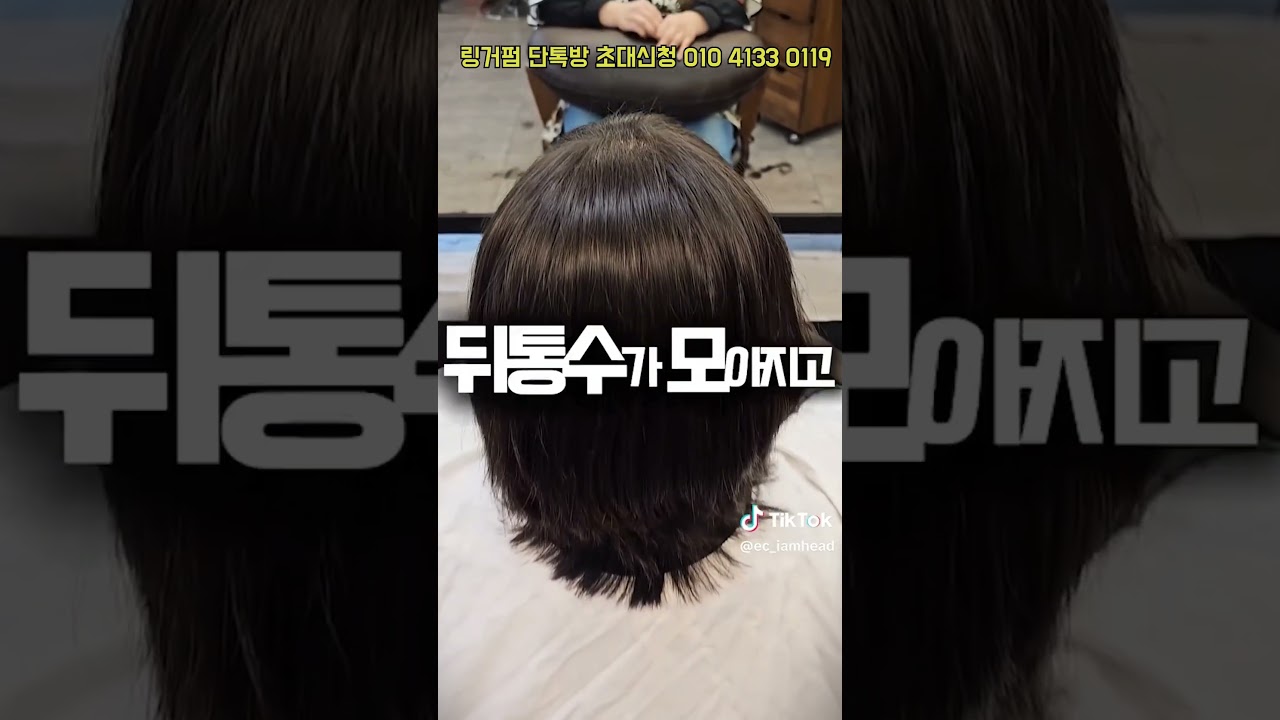 뉴링거펌-2025 KBS-2TV EBS-TV 방송 정품