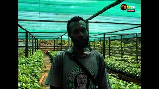 COCOA PROJECT UPDATE