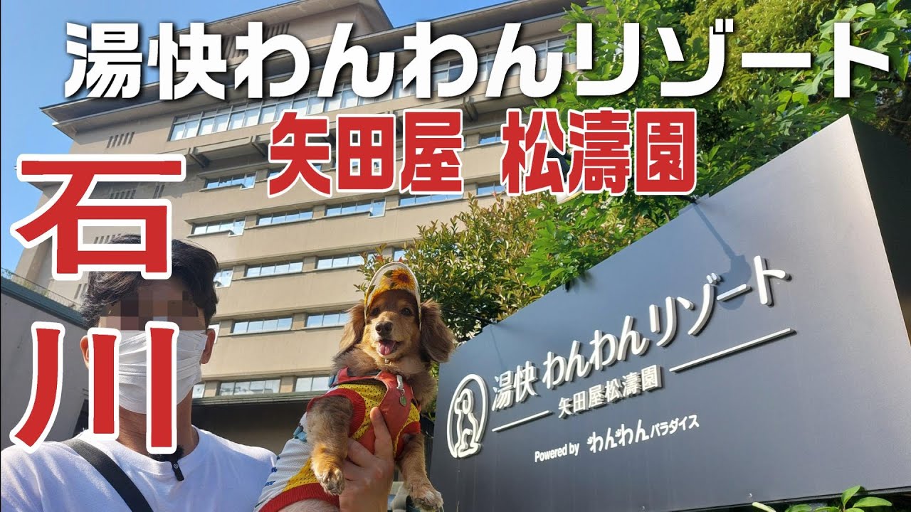 【石川】片山津温泉 湯快わんわんリゾート矢田屋 松濤園にお泊りしたら、超豪華！お部屋の広さにびっくり！！！