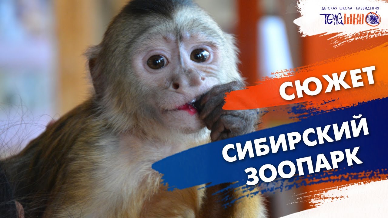 Сибирский зоопарк Сибирский зоопарк