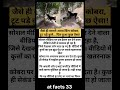 कुत्तों के झुंड ने किया King Cobra पर हमला 😱 | असली या AI Generated Video? 🤯 #viralvideo #aajtak