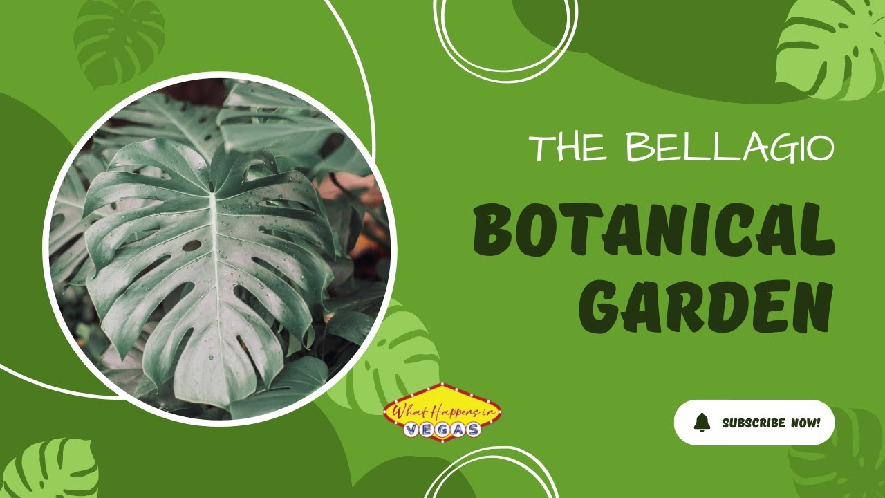 Is The Bellagio Botanical Garden Open Is The Bellagio Botanical Garden Open
