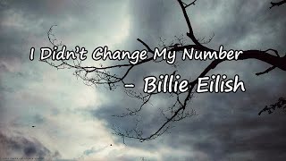 Billie Eilish – I Didn't Change My Number Lyrics