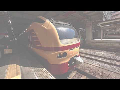 [前編]東北新幹線救済臨時快速福島行き乗車記