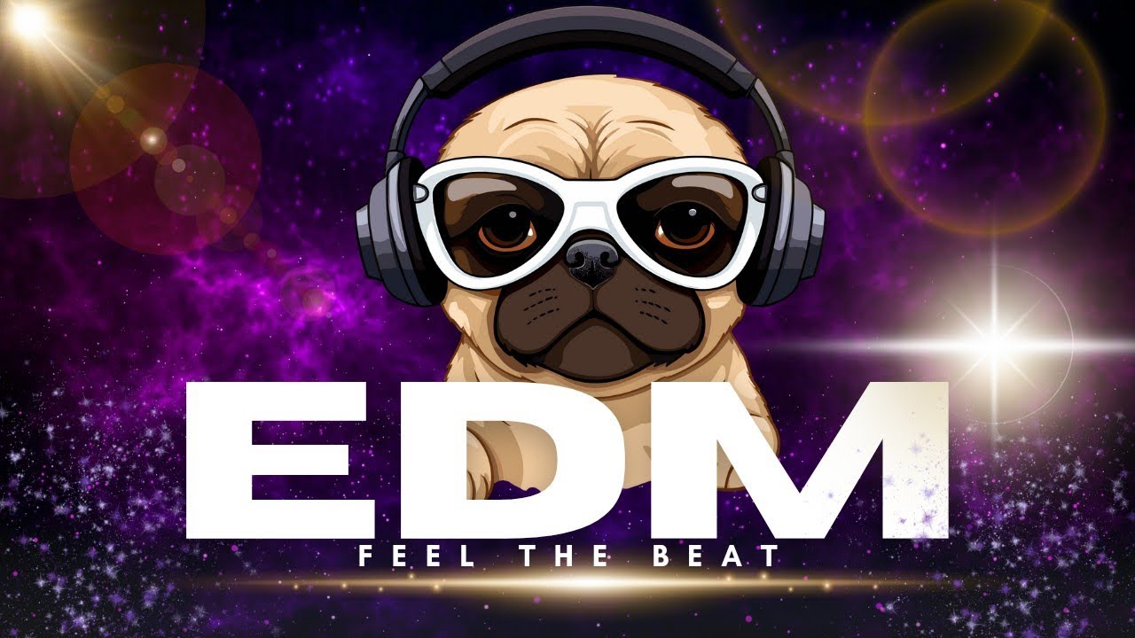 Best EDM Music 2026 🔥 Powerful Bass Drop & Festival Vibes