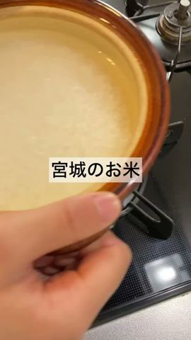 それでも愛され続けるお米🇯🇵🌾 #shorts #お弁当 #ササニシキ