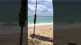 Şair Zegan-Salıncak Çekilmesi #aimusic #arabesk #müzik #aşk #rock #şarkı #slow #pop #gitar #duygusal