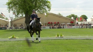Friday #MMBHT Dressage Nos 54 - 80