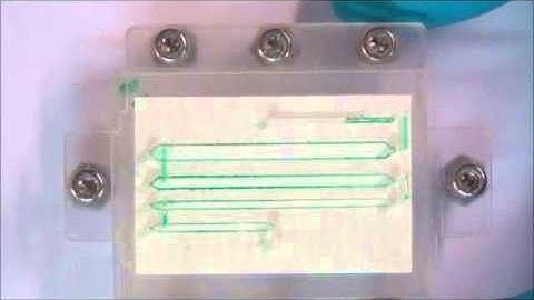 Sample re-collection from a sample preservation device