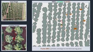 Canopy-Based AMCL Demo