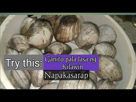 Easy to prepare #Kilawin #sea shells [celedoning tv] - YouTube