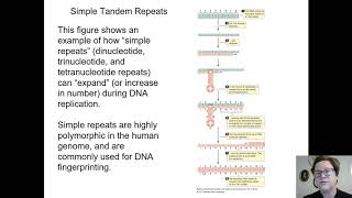 Genetics Chapter 13 Recorded Lecture Part 1