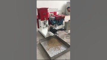 Floating fish feed pellet in diesel engine display