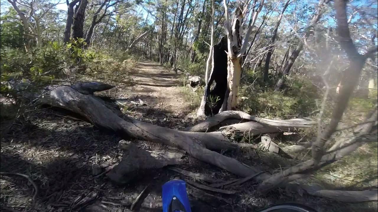 Belanglo state forest YouTube