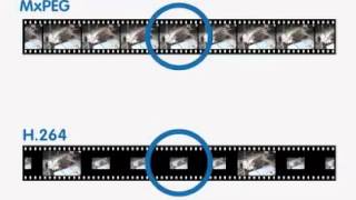 Security Cameras by MOBOTIX - MxPEG vs H264