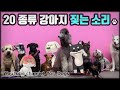 당신의 강아지를 짖게 만드는 개 짖는 소리, 20 종류 개 짖는 소리 - 20 Dog Breeds Barking