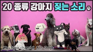 Barking dogs that make your dog bark. 20 Dog Breeds Barking  YouTube channel for Dogs