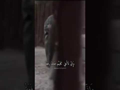 ملوك بني العباس في الكتب سبعة